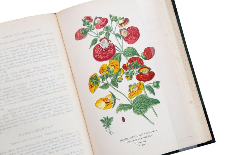 Cover image 0