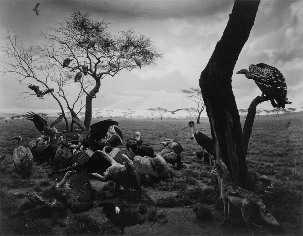 View full screen - View 1 of Lot 156. 'Hyena-Jackal-Vulture'.
