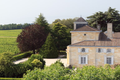 View full screen - View 1 of Lot 366. Château Montrose 1986 (6 BT).