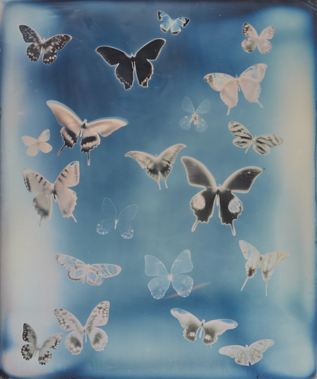 View full screen - View 1 of Lot 111. Untitled (from My Ghost).