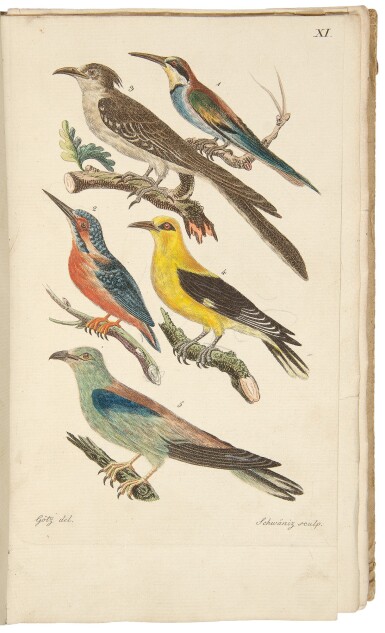 View full screen - View 1 of Lot 25. Brehm, Christian Ludwig. First edition of a "classic treatise on mid-European avifauna".