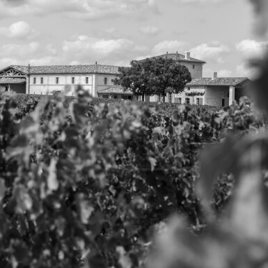 View full screen - View 1 of Lot 496. Pensées de Lafleur 2014 (5 BT).
