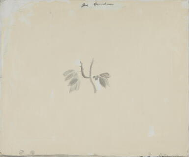 View full screen - View 1 of Lot 66. Untitled (Bramble).