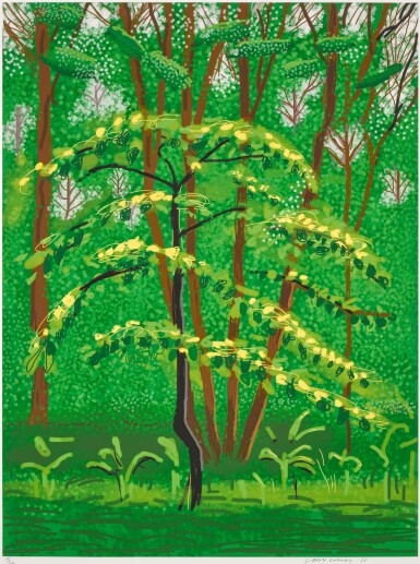 View full screen - View 1 of Lot 530. The Arrival of Spring in Woldgate, East Yorkshire in 2011 (twenty eleven) - 19 May.