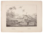 DE LA BECHE | Duria Antiquior, lithograph, 1830
