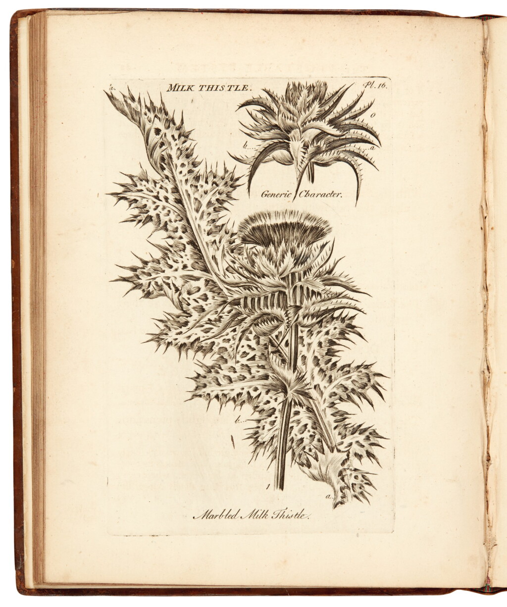 View full screen - View 1 of Lot 15. Hill | The Vegetable System, 1759-1764, 6 volumes bound in 7.