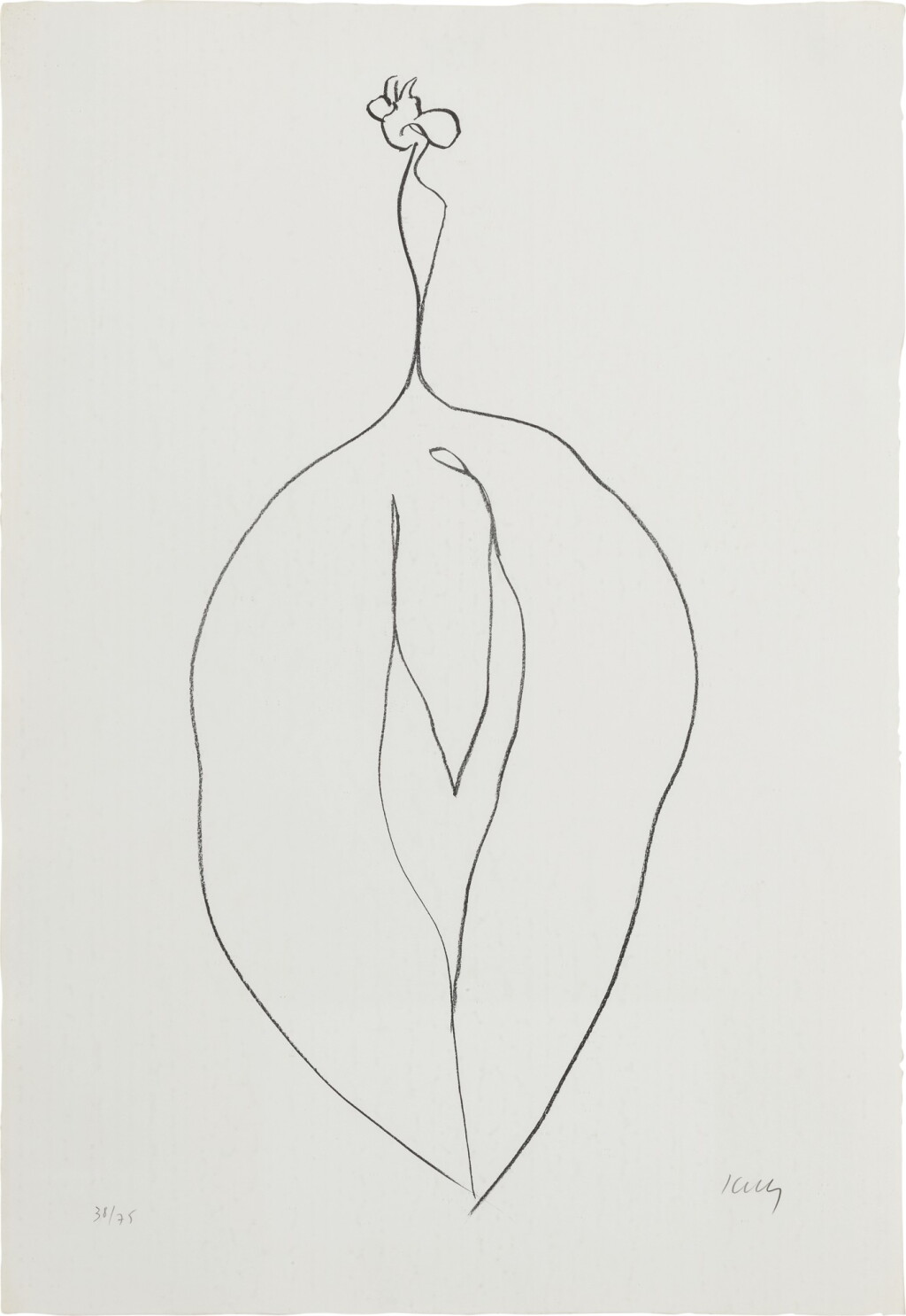 View full screen - View 1 of Lot 91. Seaweed (Algue) (A. 53).