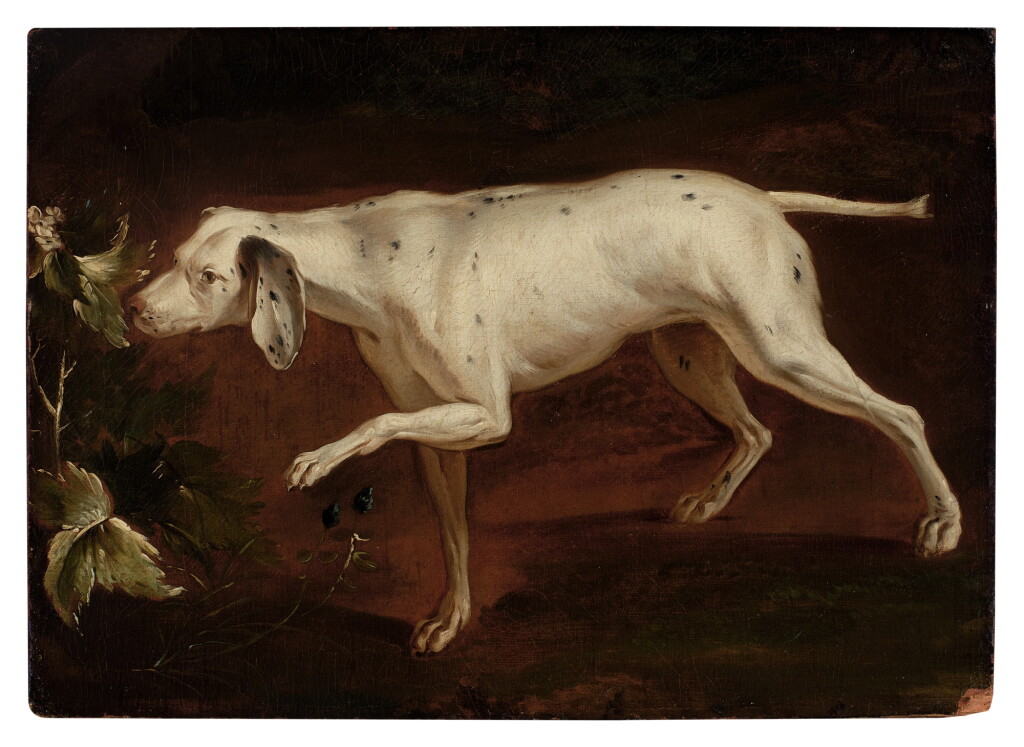 View full screen - View 1 of Lot 131. Study of a Pointer.