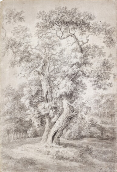 View full screen - View 1 of Lot 43. Study of an Oak Tree in Woodland.