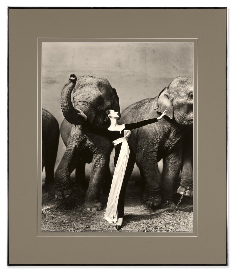 dovima with elephants evening dress by dior cirque d'hiver paris Dovima with Elephants at the Cirque d'Hiver. Dovima is wearing a YSL for Dior white georgette crepe dress which descends in a winding fold, banded in black velvet and marked with a
