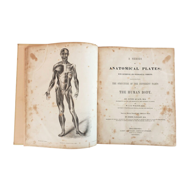 Cover image 0