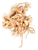 Sargasso II