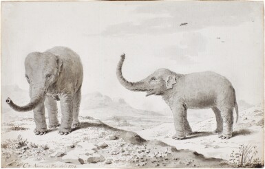 View full screen - View 1 of Lot 87. Two elephants.