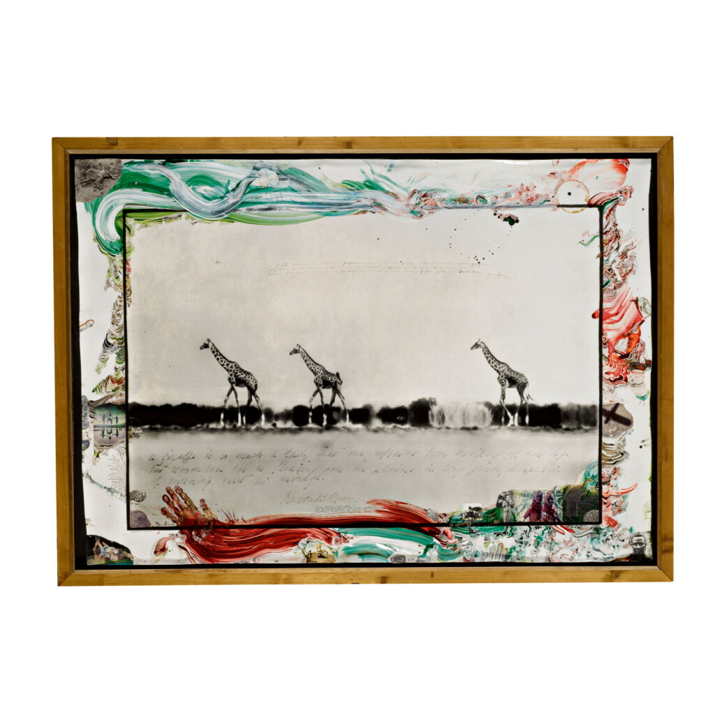 View full screen - View 1 of Lot 89. PETER BEARD | 'GIRAFFES IN MIRAGE ON THE TARU DESERT, KENYA'.
