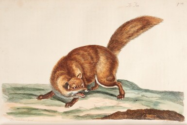 View full screen - View 1 of Lot 170. Thomas Pennant | The British Zoology... London, 1766.