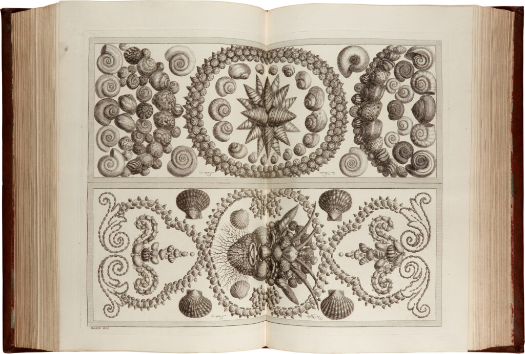 View full screen - View 1 of Lot 76. Albertus Seba | Locupletissimi rerum naturalium thesauri accurata description, Amsterdam, 1734-1765, a fine copy in a contemporary binding.