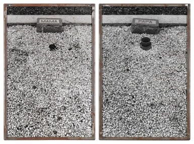 View full screen - View 1 of Lot 146. Les Tombes (Mama, Papa).