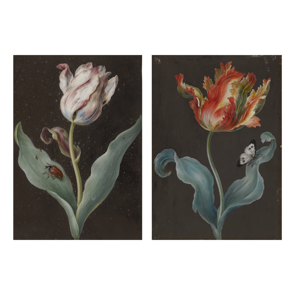 View full screen - View 1 of Lot 135. ATTRIBUTED TO BARBARA REGINA DIETZSCH | A PURPLE TULIP WITH A BEETLE AND AN ORANGE TULIP WITH A BUTTERFLY: A PAIR OF BOTANICAL STUDIES.