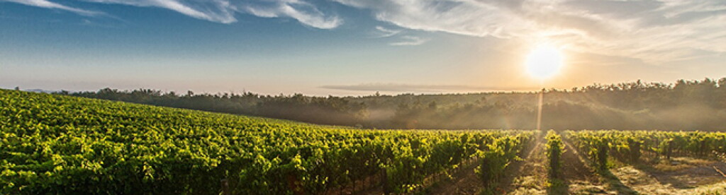 View full screen - View 1 of Lot 184. Barolo Le Vigne 2010 Luciano Sandrone (6 BT).