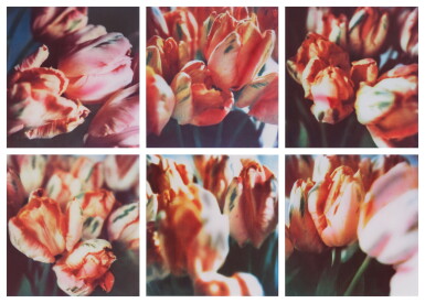 View full screen - View 1 of Lot 118. Tulips (III).