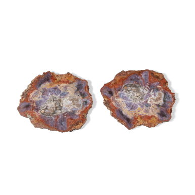 View full screen - View 1 of Lot 93. Pair of Petrified Wood Slices.