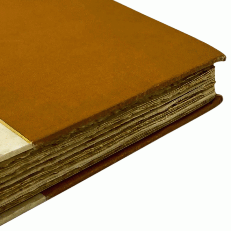 Cover image 0