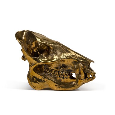 View full screen - View 1 of Lot 270. SHERRIE LEVINE | JAVELINA SKULL.