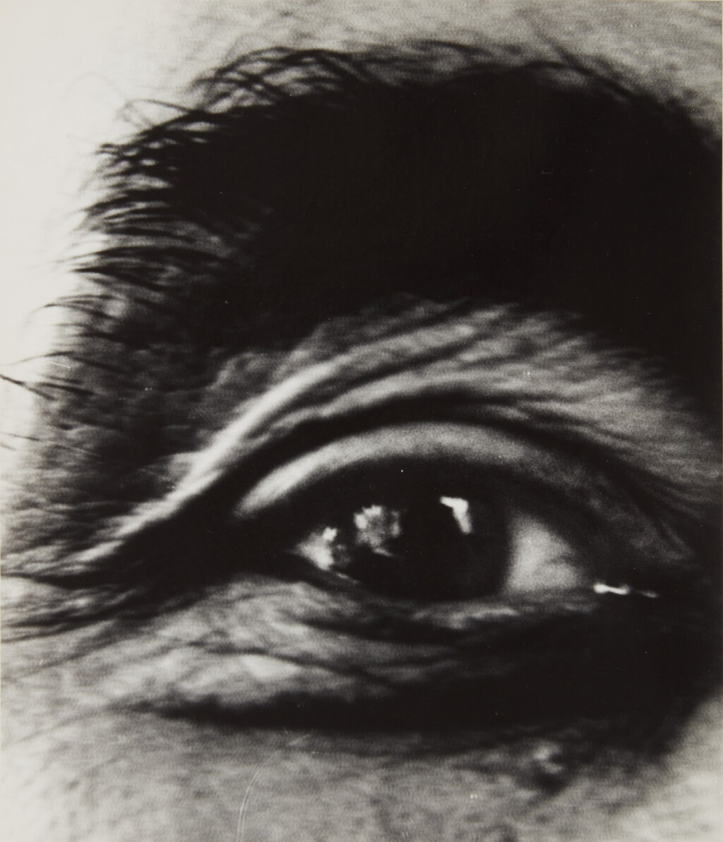 View full screen - View 1 of Lot 41. Vasarely's Right Eye.
