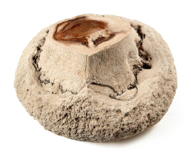 View full screen - View 1 of Lot 18. A FOSSIL PALM BULB.