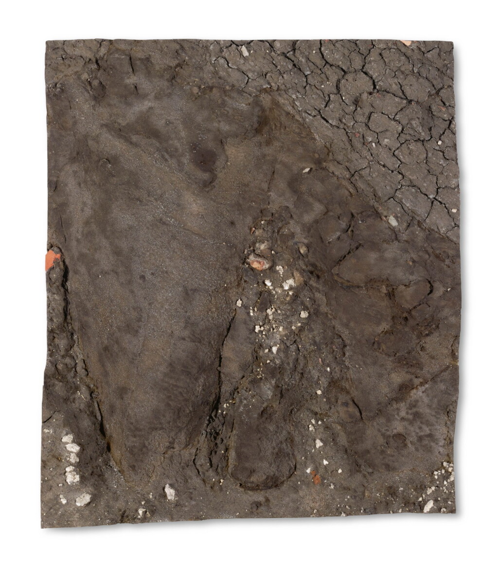 View full screen - View 1 of Lot 164. BOYLE FAMILY | SMALL LANDSLIP STUDY (2).
