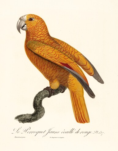 Source: Sotheby's Image