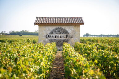 View full screen - View 1 of Lot 184. Château Les Ormes de Pez 2002 (6 BT).