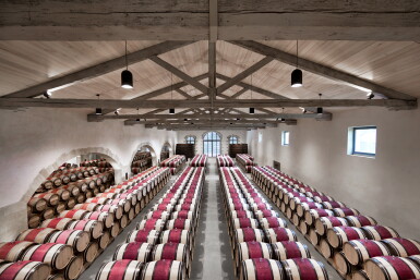 View full screen - View 1 of Lot 169. Château Calon Ségur 2019 (12 BT).