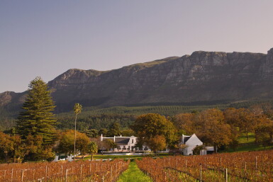 View full screen - View 1 of Lot 19. KLEIN CONSTANTIA, AN ICONIC EXPERIENCE: 3 X 1.5 LITRE VIN DE CONSTANCE - 2013, 2014, 2015, WITH TOUR, TASTING & LUNCH AT THE WINERY .