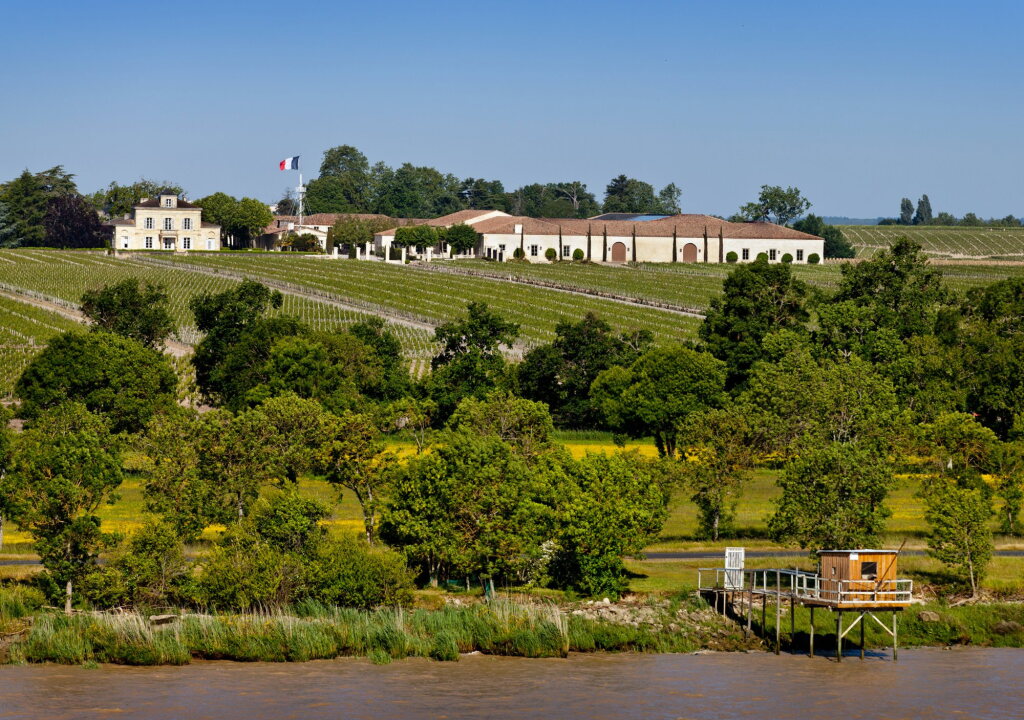 View full screen - View 1 of Lot 126. Château Montrose 2014 (3 MAG).