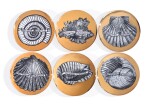 SIX CONCHYLIORUM PLATES BY PIERO FORNASETTI, MID-20TH CENTURY