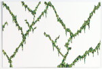 Ghost Vines (Anthem) #3
