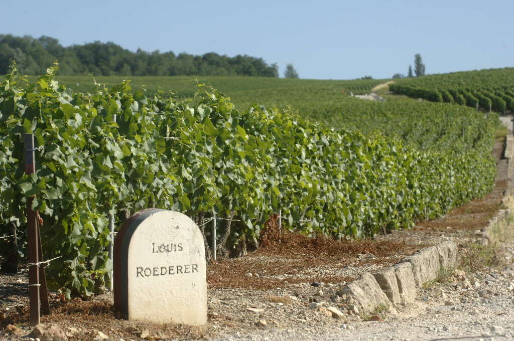 View full screen - View 1 of Lot 169. Louis Roederer, Brut 1989 (5 BT).
