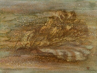 View full screen - View 1 of Lot 336. Shell.