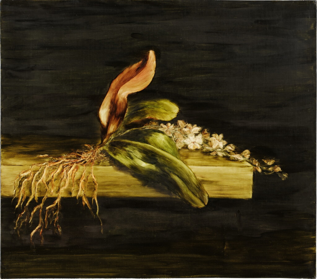 View full screen - View 1 of Lot 357. Uprooted Orchid.