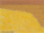 Yellow Grasses