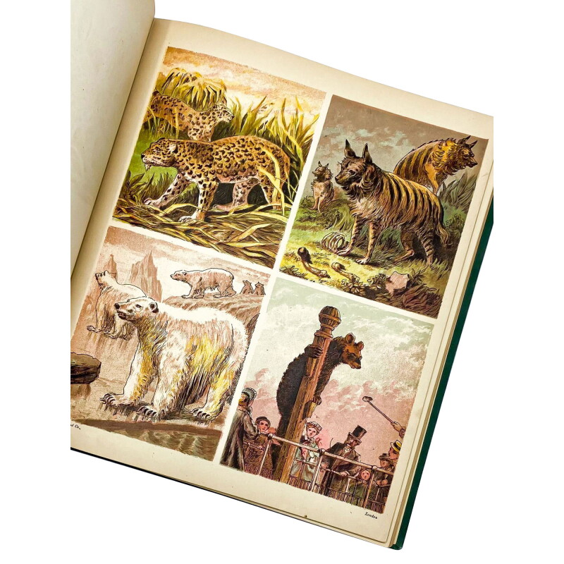 Cover image 0