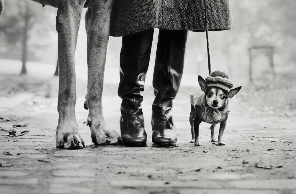 View full screen - View 1 of Lot 26. ELLIOTT ERWITT | 'FELIX, GLADYS AND ROVER', NEW YORK CITY, C. 1974.