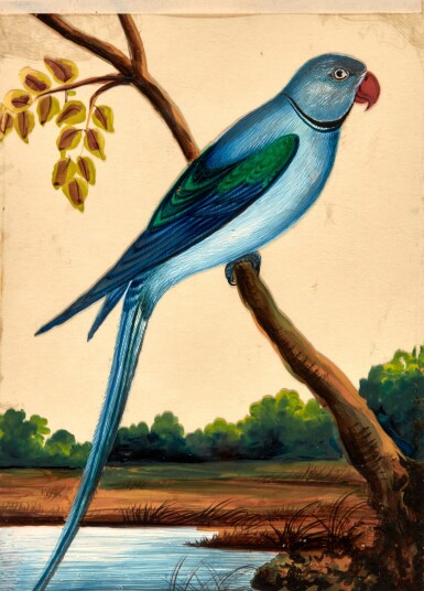 View full screen - View 1 of Lot 297. Company school | Indian birds, eight paintings on mica. India, nineteenth-century.