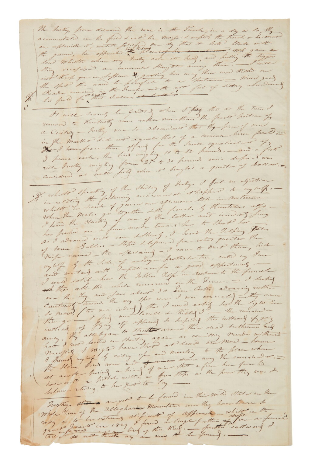 View full screen - View 1 of Lot 1313. John James Audubon | The working manuscript for Audubon's favorite, and the most American, bird.