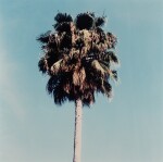 Selected Images