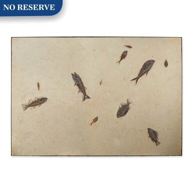 View full screen - View 1 of Lot 7. Large Multi-Fish Plate.