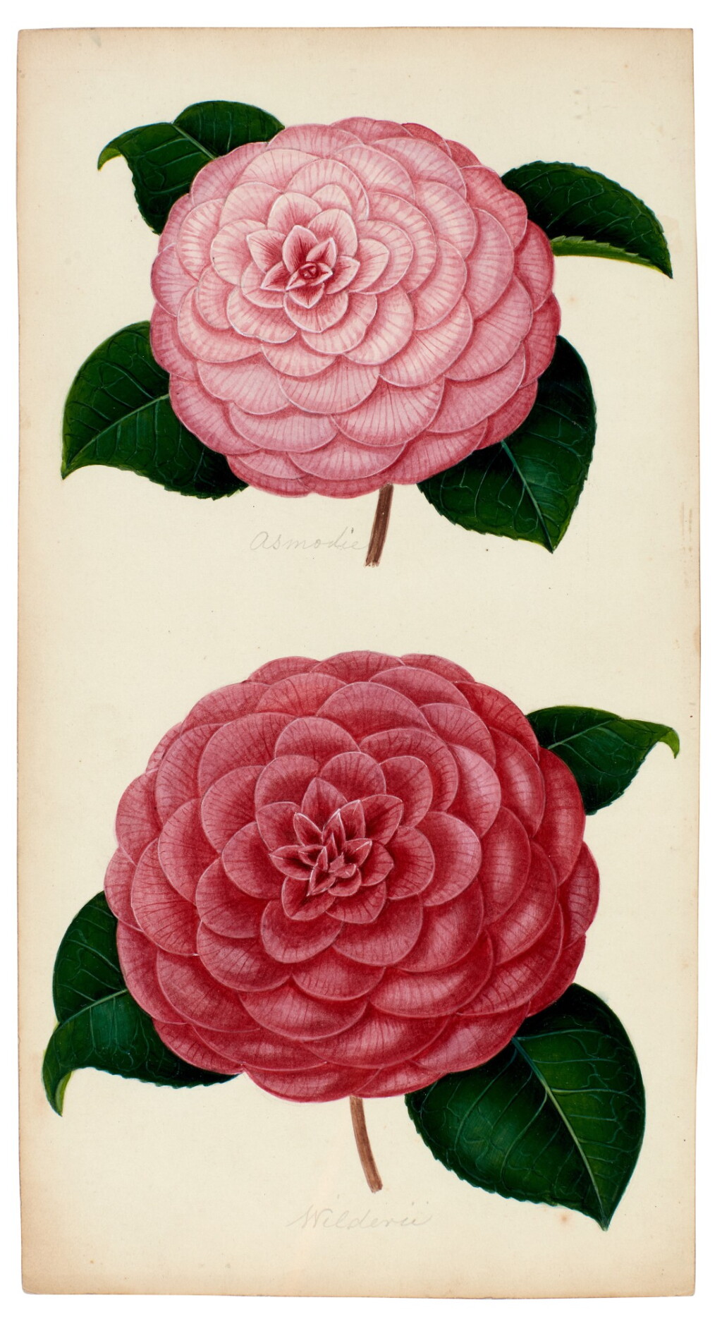 View full screen - View 1 of Lot 44. Alfred Chandler | A collection of nineteen watercolour drawings.