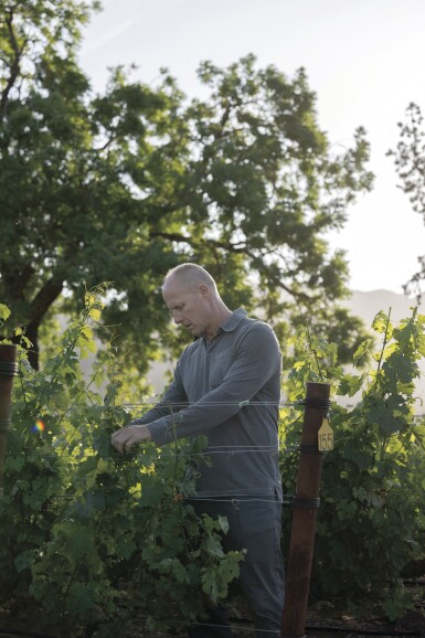 View full screen - View 1 of Lot 8. Schrader Cellars | A Dinner Curated to Perfection at the Newly Renovated Robert Mondavi Winery.
