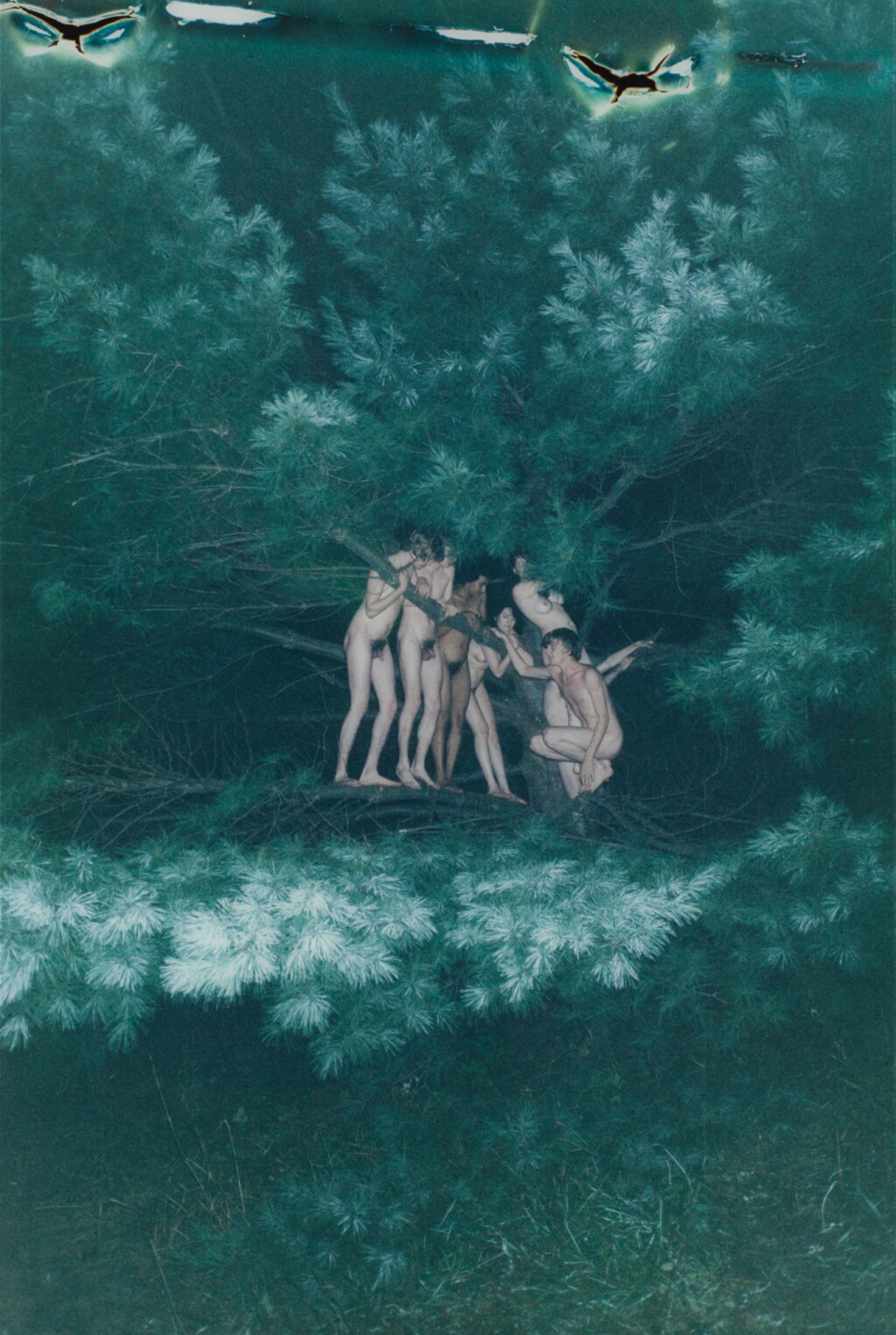View full screen - View 1 of Lot 11. RYAN MCGINLEY | TREE #2.